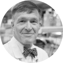 Jonas Bergh