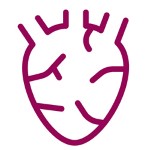 Hjerte- og karsykdom.jpg