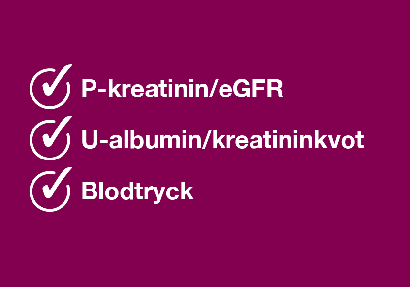 Illustration av en lista med tre punkter markerade med bockar: P-kreatinin/eGFR, U-albumin/kreatininkvot och Blodtryck, tre prover som används för att upptäcka kronisk njursjukdom.