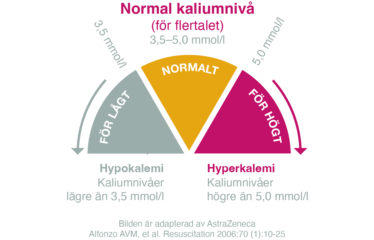 normal-kaliumniva-illustration_628x645px.png