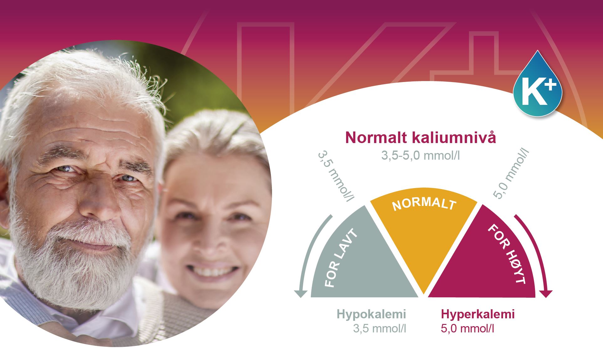 Kaliumnivå bannerbilde.JPG