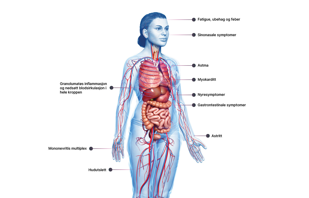 Illustrasjon journey 3_org.jpg
