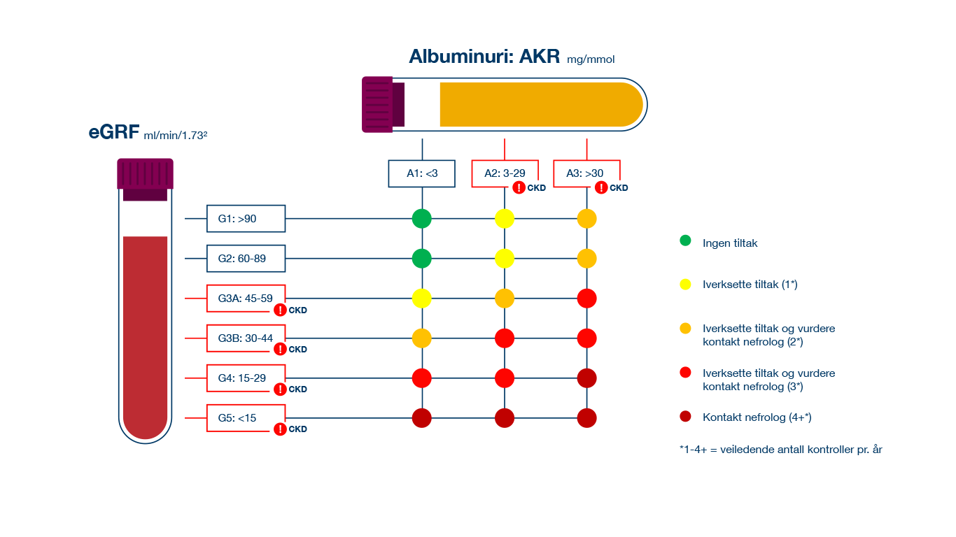 AZ_Veileder_CKD-Risikopasient_illustrasjon-klassifisering.png