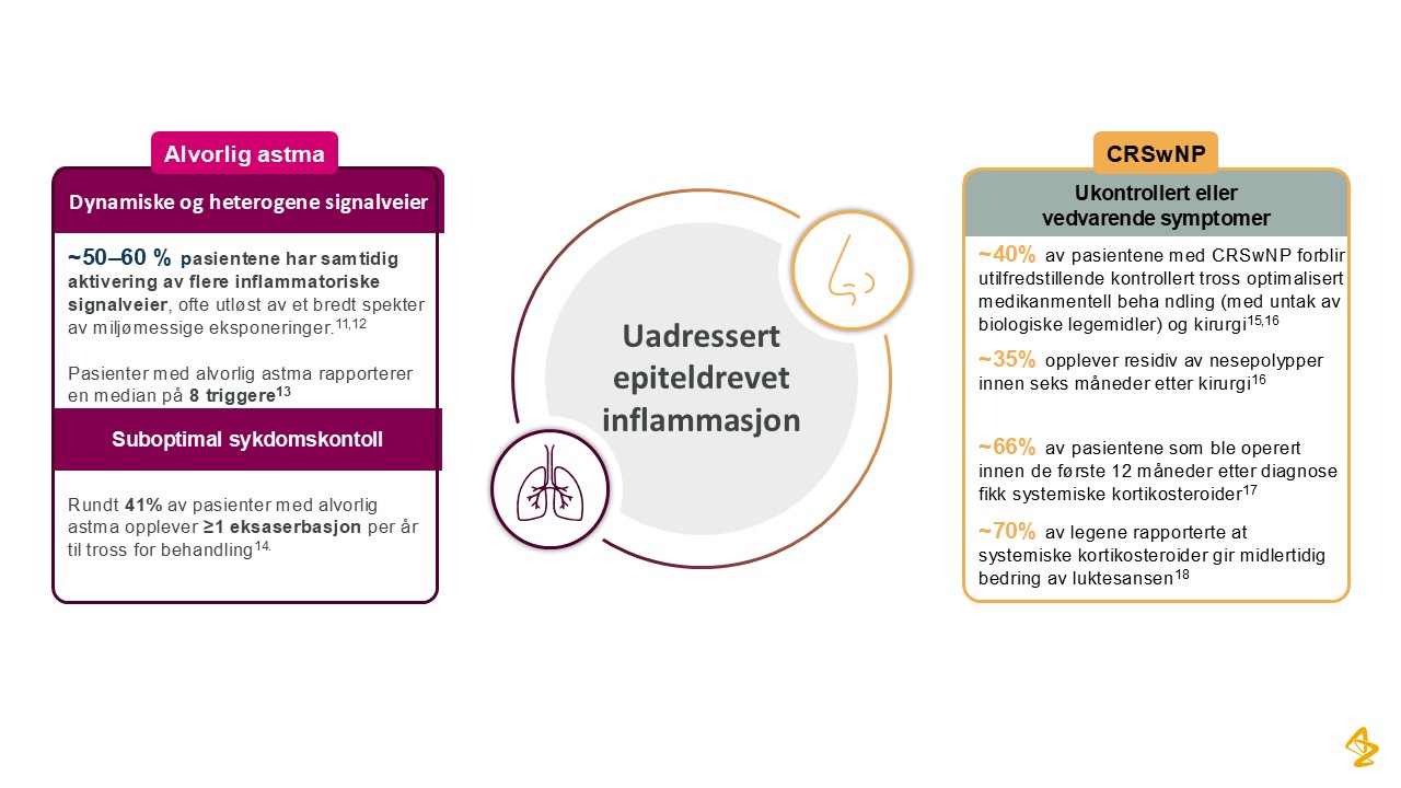 Illustrasjoner for MJ 2 .jpg