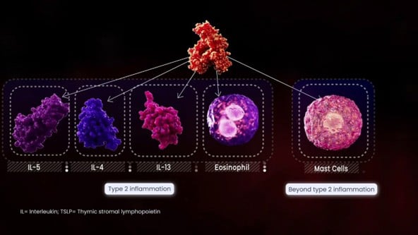 MOA illustrasjon.jpg