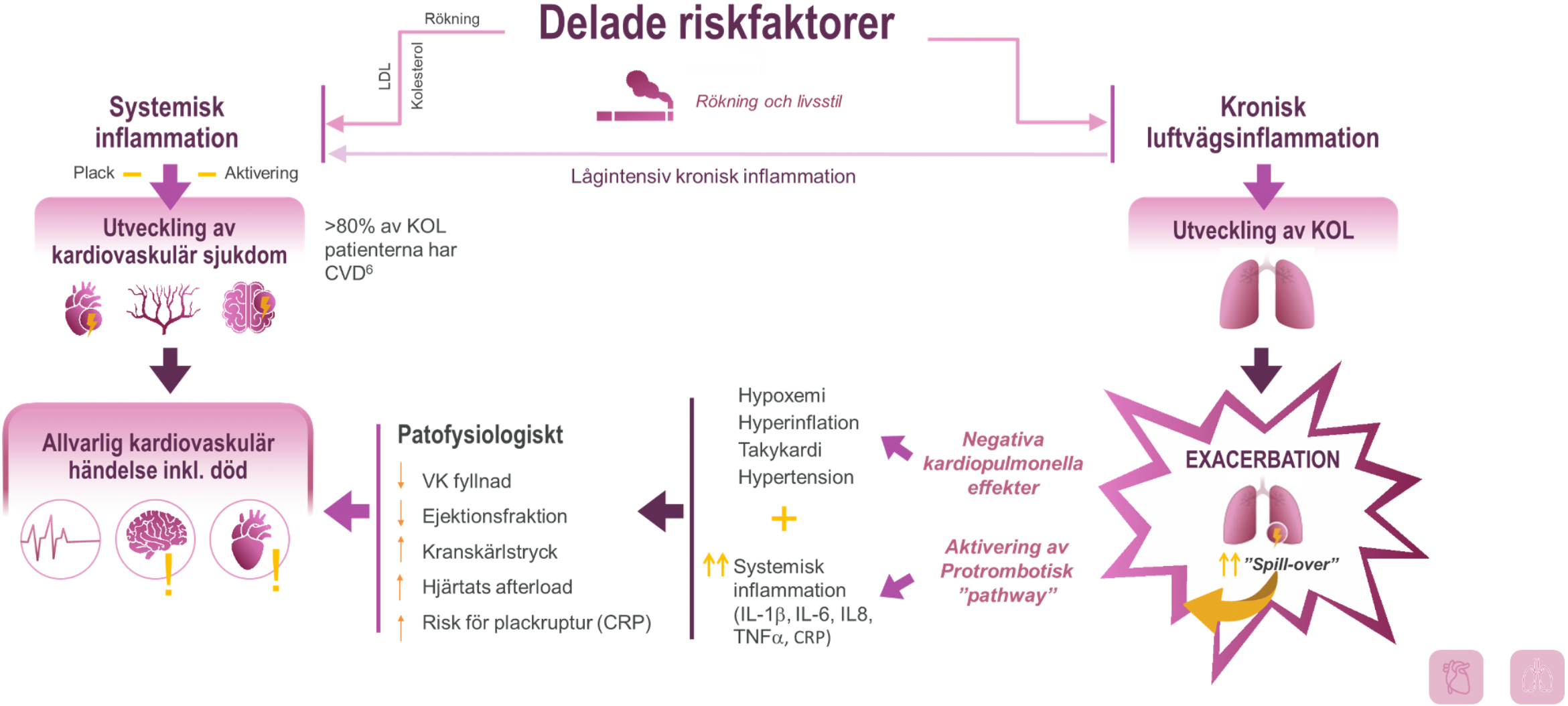 riskfaktorer.png