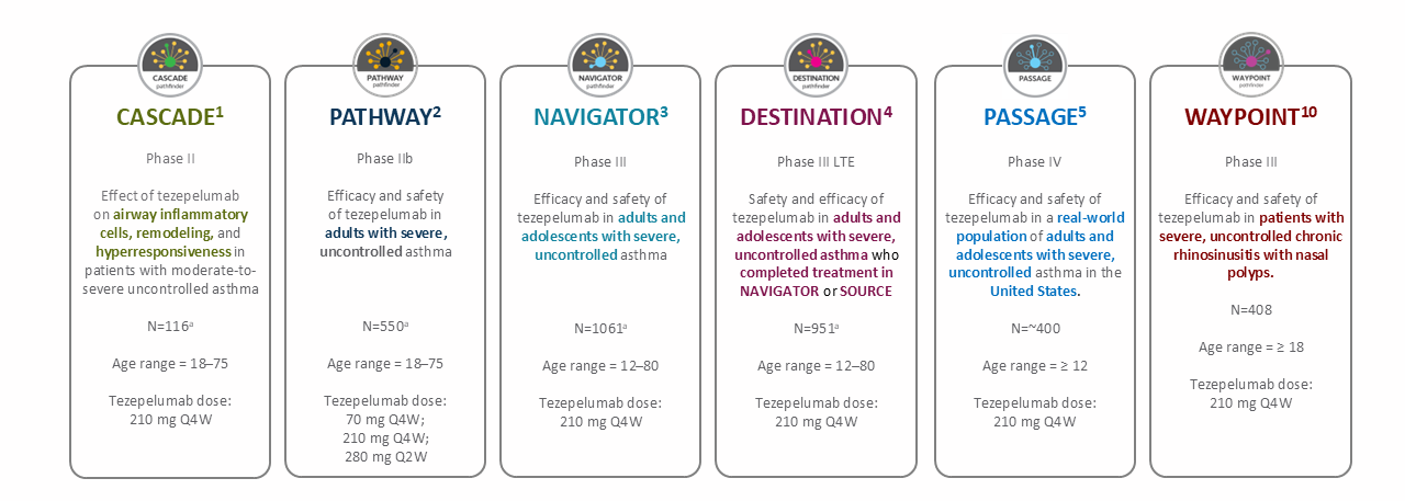 Studier till AZ connectv2.png