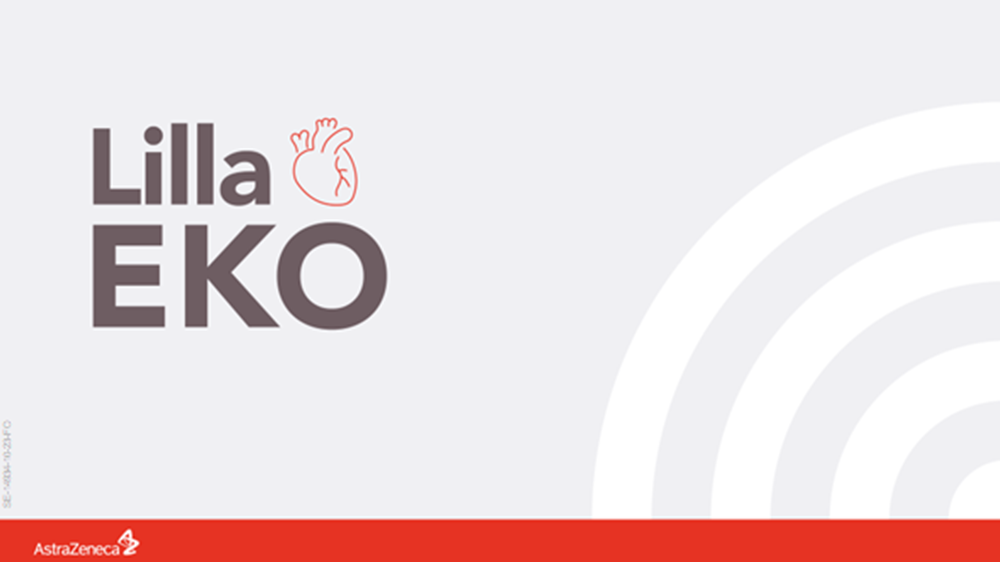 lilla-eko-eordering-slides-thumb.png