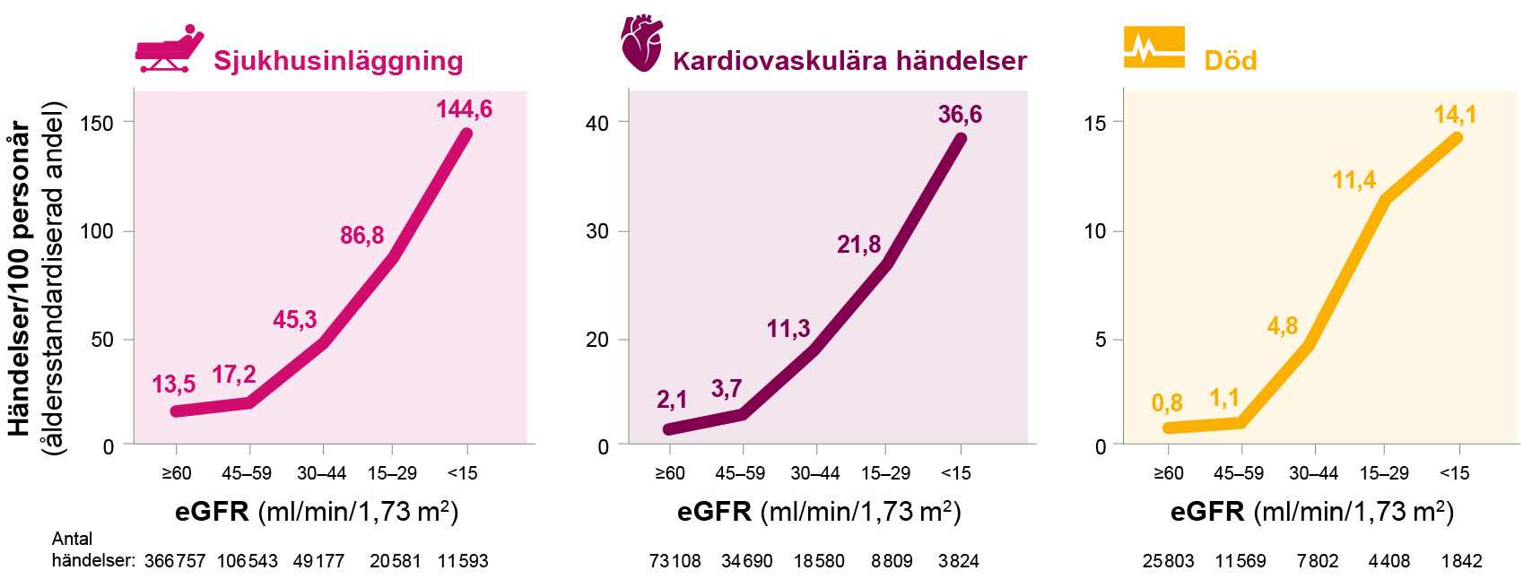 4_Diagram njurfunktion.jpg