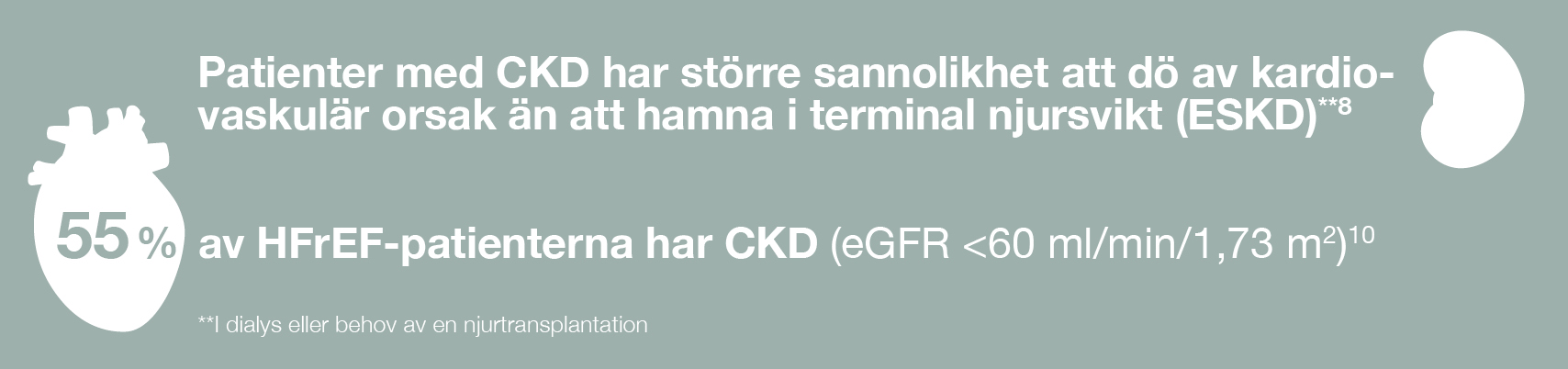 8_Det kardiorenala sambandet.jpg