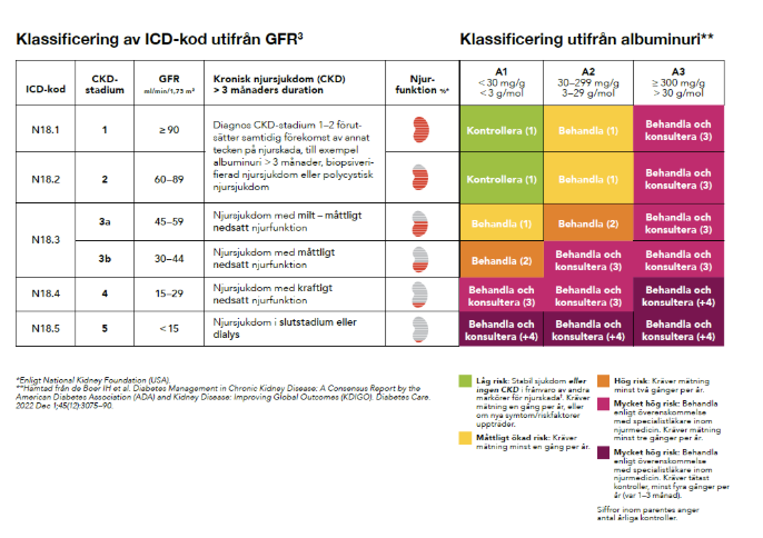 Tabell för klassificering av kronisk njursjukdom baserat på ICD-kod, GFR-stadium och albuminuri. Tabellen visar ICD-koder, CKD-stadier, GFR-intervall, samt tillhörande åtgärder beroende på grader av albuminuri, med färgkoder för risknivå och antal årliga kontroller i parentes.
