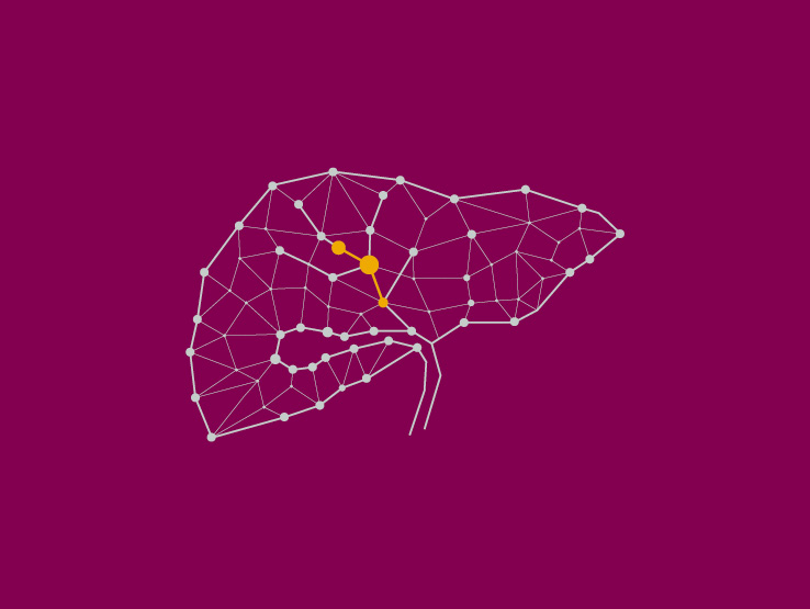 illustration av en lever med gul punktmarkering som representerar gallvägscancer.