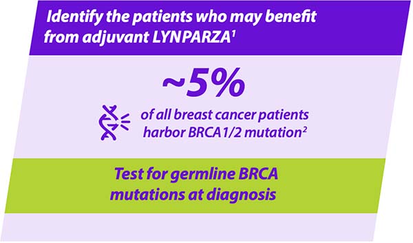 olympia_lynparza-chart4.jpg